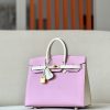 Birkin HSS 25 Mauve Sylvestre X9 And Nata I2 Epsom Gold Hardware