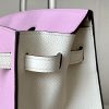Birkin HSS 25 Mauve Sylvestre X9 And Nata I2 Epsom Gold Hardware - Image 2