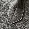 Birkin 30 Togo Nior(89) Gold Hardware - Image 5