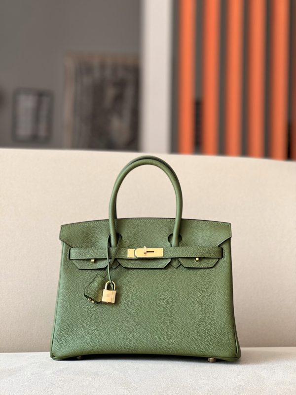 Birkin 30 Togo Canopee (V6) Gold Hardware