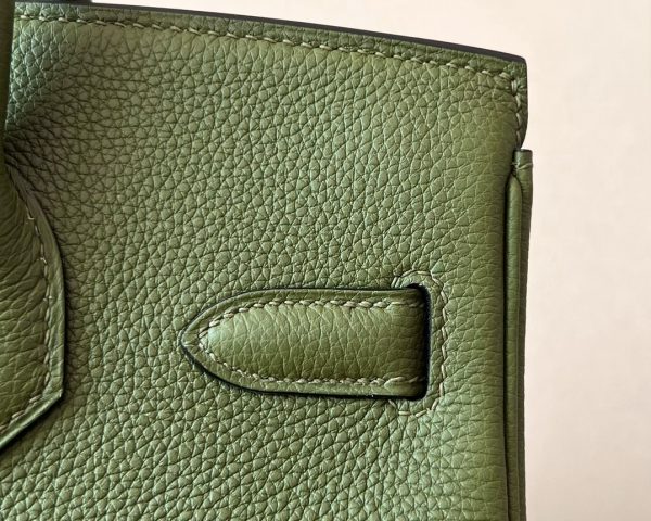 Birkin 30 Togo Canopee (V6) Gold Hardware - Image 6
