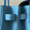 Birkin 30 Togo Bleu du Nord (P3) Gold Hardware - Image 3