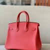 Birkin 25 Epsom Bougainviuier (A5) Palladium Hardware - Image 2