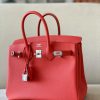 Birkin 25 Epsom Bougainviuier (A5) Palladium Hardware - Image 9