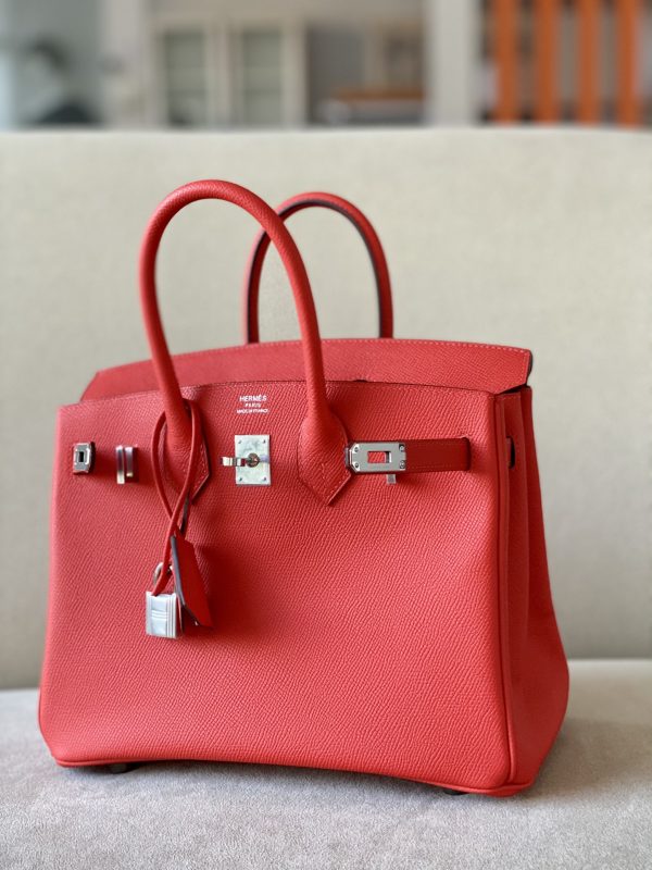 Birkin 25 Epsom Bougainviuier (A5) Palladium Hardware - Image 9