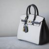 Birkin HSS 25 Epsom Etain(8F) and Craie(10) Gold Hardware