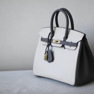 Birkin HSS 25 Epsom Etain(8F) and Craie(10) Gold Hardware