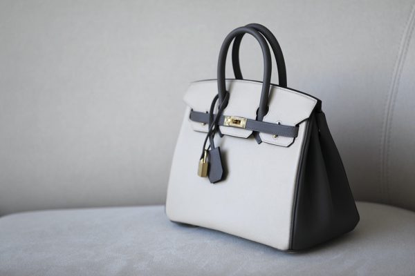 Birkin HSS 25 Epsom Etain(8F) and Craie(10) Gold Hardware