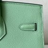 Birkin 25 Epsom Vert Criquet  (3I ) Palladium Hardware Sellier - Image 6