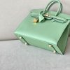 Birkin 25 Epsom Vert Criquet  (3I ) Gold Hardware Sellier - Image 5