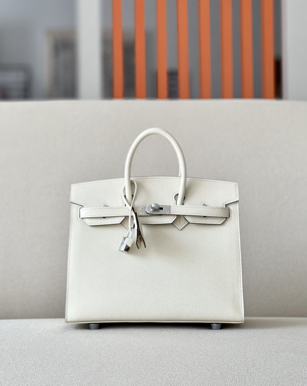 Birkin 25 Nata(I2) Palladium Hardware Sellier