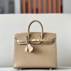 Birkin 25 Epsom Chai (0M) Gold Hardware Sellier
