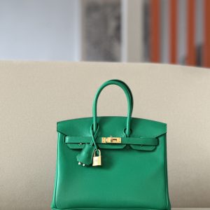 Birkin 25 Swift Menthe (6W) Gold Hardware