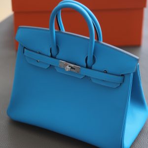 Birkin 25 Swift Bleu Frida (OF) Palladium Hardware