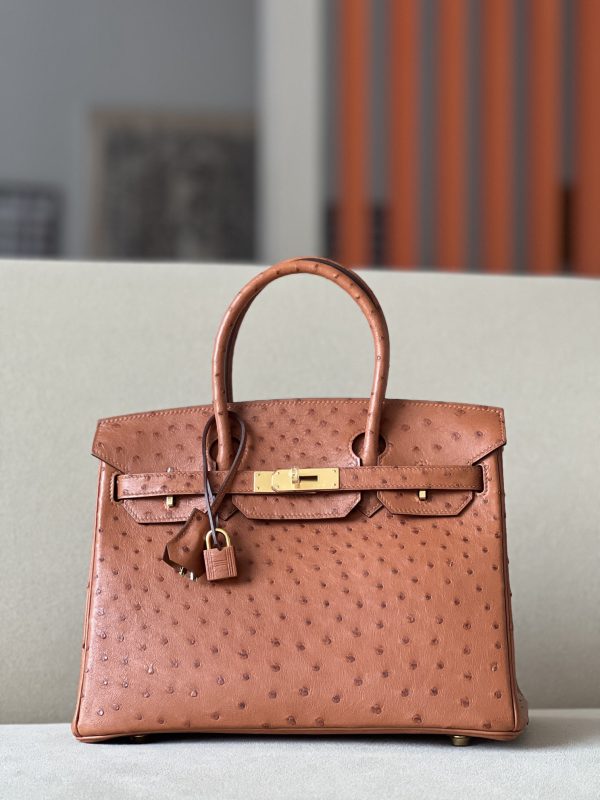 Birkin 30 Ostrich Gold(37) Gold Hardware