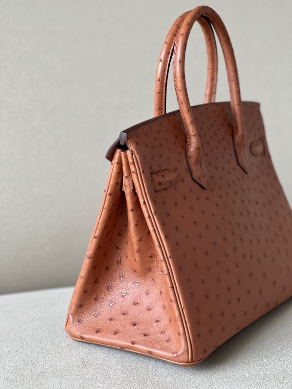 Birkin 30 Ostrich Gold(37) Gold Hardware - Image 4