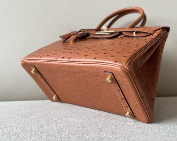 Birkin 30 Ostrich Gold(37) Gold Hardware - Image 5