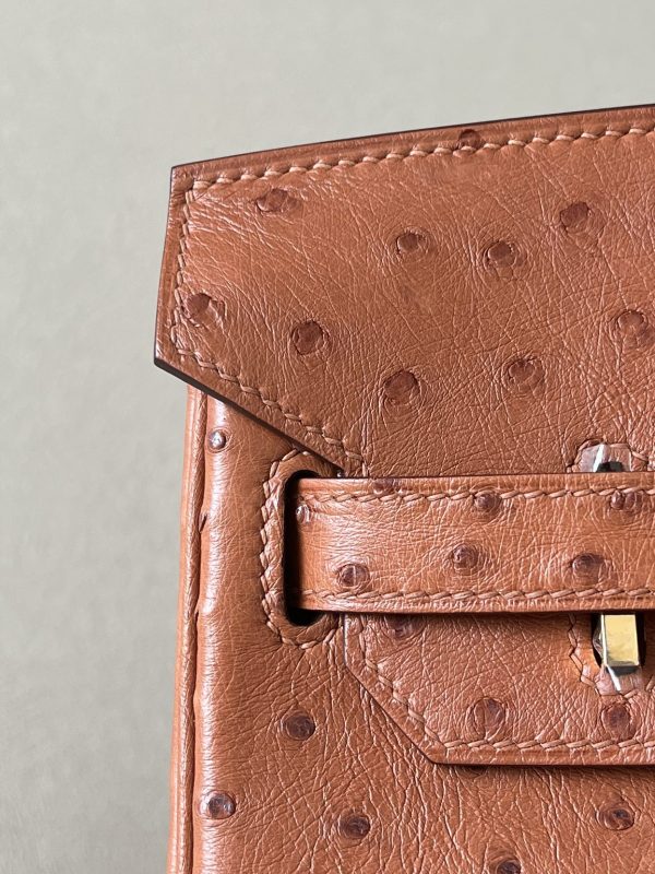 Birkin 30 Ostrich Gold(37) Gold Hardware - Image 6