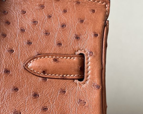 Birkin 30 Ostrich Gold(37) Gold Hardware - Image 7