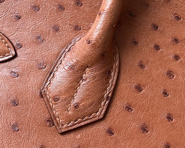 Birkin 30 Ostrich Gold(37) Gold Hardware - Image 8