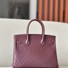 Birkin 30 Ostrich Rouge Sellier(0G) Gold Hardware - Image 3