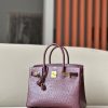 Birkin 30 Ostrich Rouge Sellier(0G) Gold Hardware - Image 2