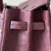Birkin 30 Ostrich Rouge Sellier(0G) Gold Hardware - Image 9