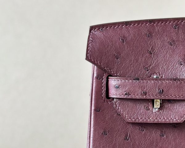 Birkin 30 Ostrich Rouge Sellier(0G) Gold Hardware - Image 7