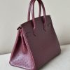 Birkin 30 Ostrich Rouge Sellier(0G) Gold Hardware - Image 4