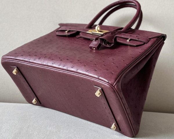 Birkin 30 Ostrich Rouge Sellier(0G) Gold Hardware - Image 5