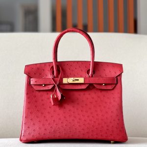 Birkin 30 Ostrich Braise  (95) Gold Hardware
