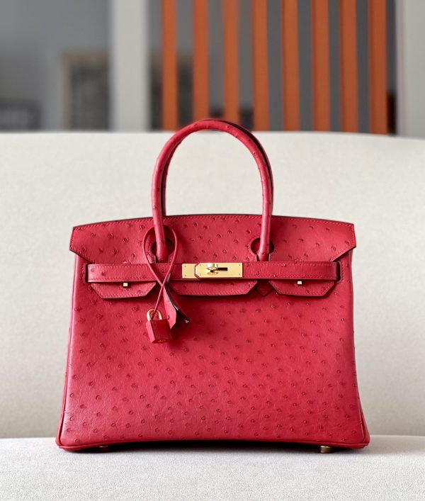 Birkin 30 Ostrich Braise  (95) Gold Hardware