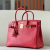 Birkin 30 Ostrich Braise  (95) Gold Hardware - Image 2