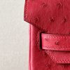 Birkin 30 Ostrich Braise  (95) Gold Hardware - Image 6