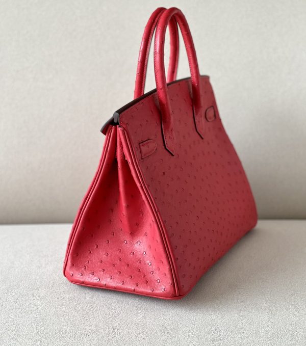 Birkin 30 Ostrich Braise  (95) Gold Hardware - Image 5