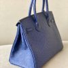 Birkin 30 Ostrich Blue Iris (77) Palladium Hardware - Image 4