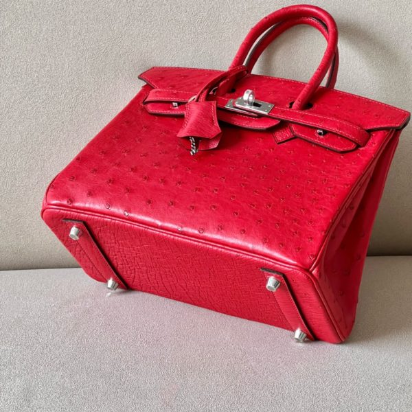 Birkin 30 Ostrich Braise  (95) Palladium Hardware - Image 5
