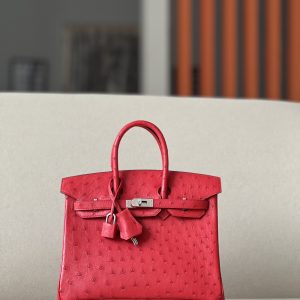 Birkin 30 Ostrich Braise  (95) Palladium Hardware
