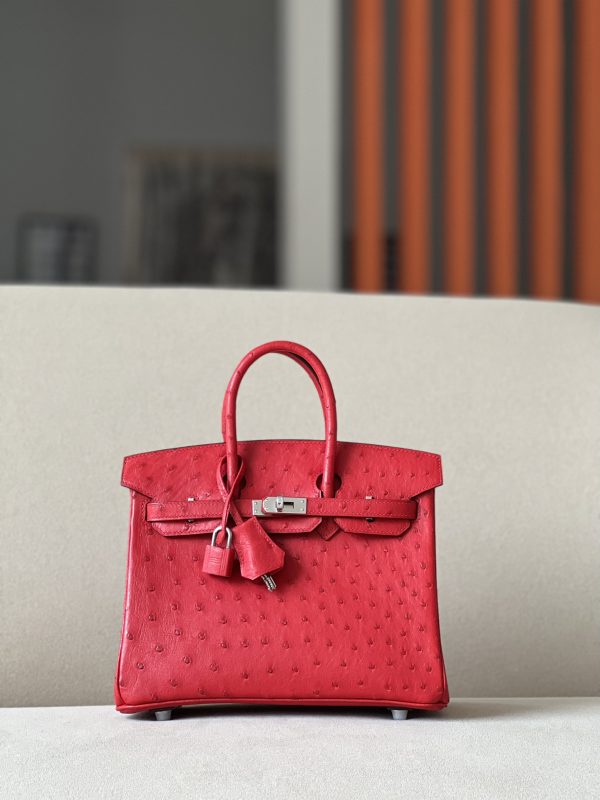 Birkin 30 Ostrich Braise  (95) Palladium Hardware