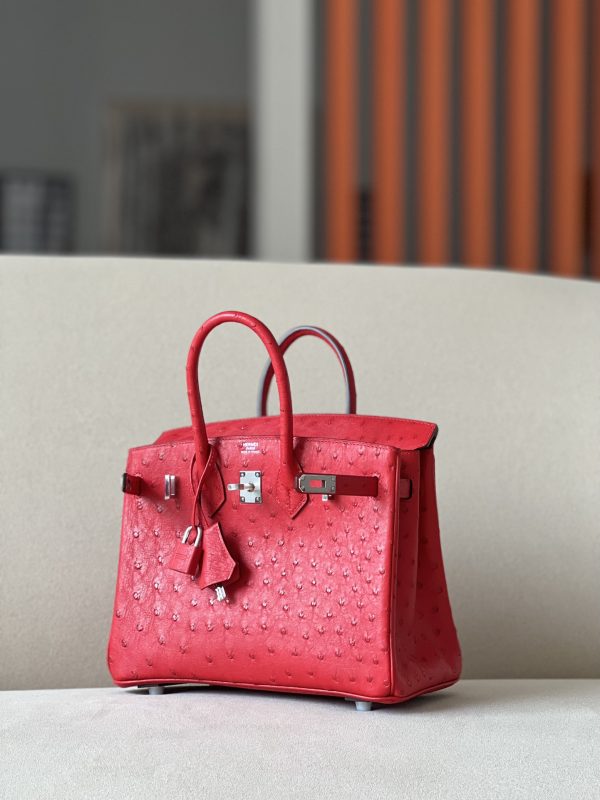 Birkin 30 Ostrich Braise  (95) Palladium Hardware - Image 2