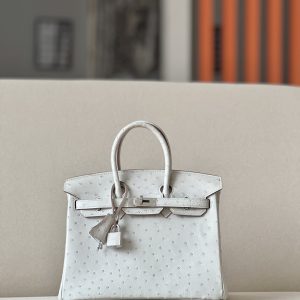 Birkin 30 Ostrich Gris Perle(80) Palladium Hardware