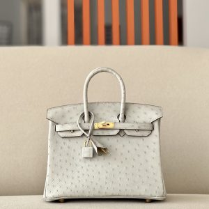Birkin 25 Ostrich Gris Perle(80) Gold Hardware