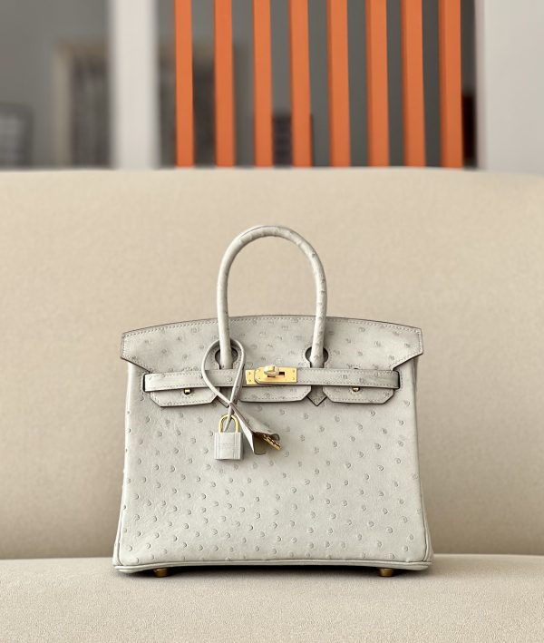 Birkin 25 Ostrich Gris Perle(80) Gold Hardware