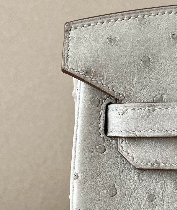 Birkin 25 Ostrich Gris Perle(80) Gold Hardware - Image 8