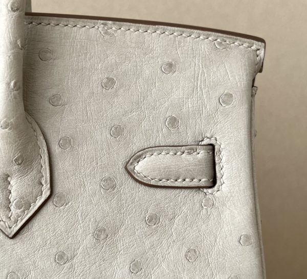 Birkin 25 Ostrich Gris Perle(80) Gold Hardware - Image 7