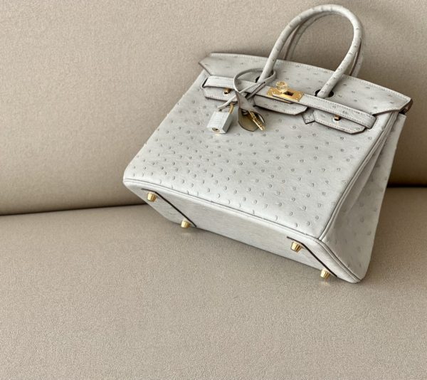 Birkin 25 Ostrich Gris Perle(80) Gold Hardware - Image 5