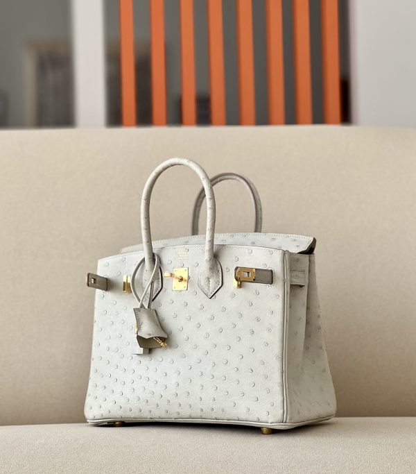 Birkin 25 Ostrich Gris Perle(80) Gold Hardware - Image 3