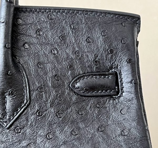 Birkin 25 Ostrich Nior(89) Gold Hardware - Image 6