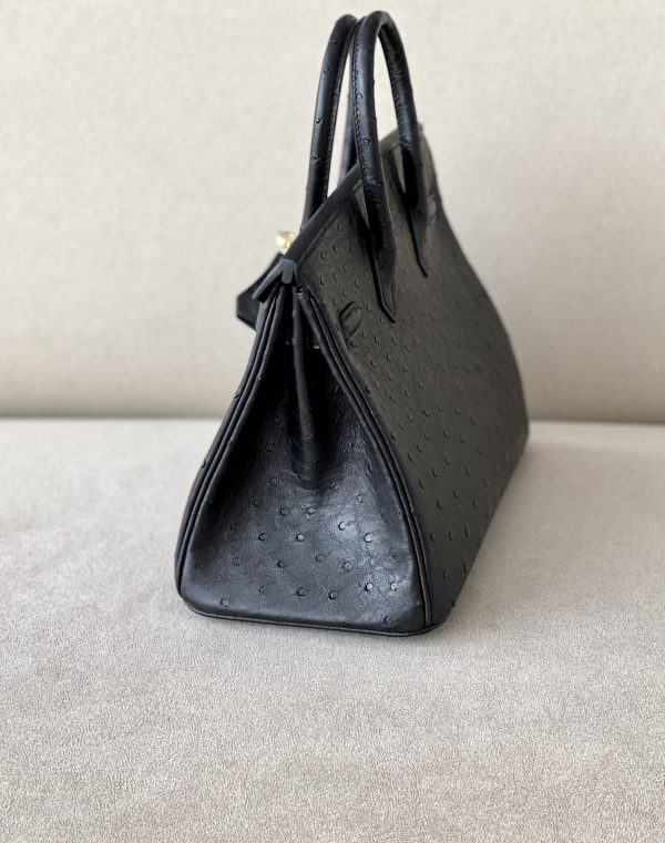 Birkin 25 Ostrich Nior(89) Gold Hardware - Image 5