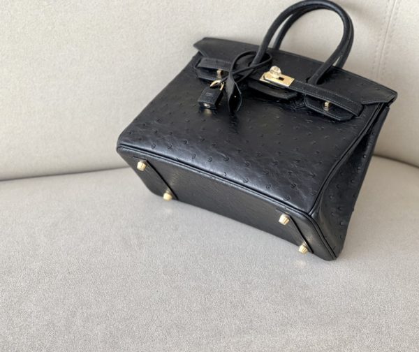 Birkin 25 Ostrich Nior(89) Gold Hardware - Image 4